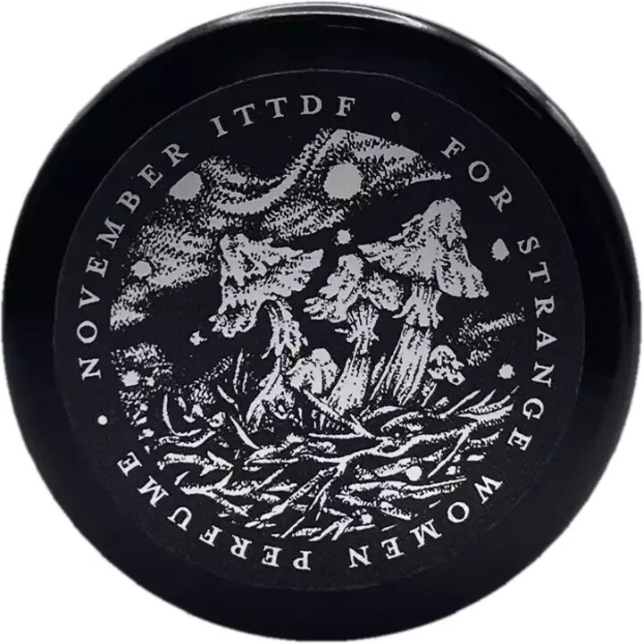 November in the Temperate Deciduous Forest